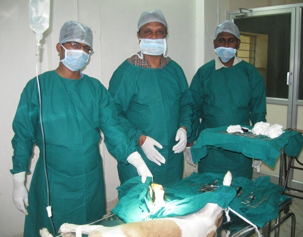 Surgical Unit